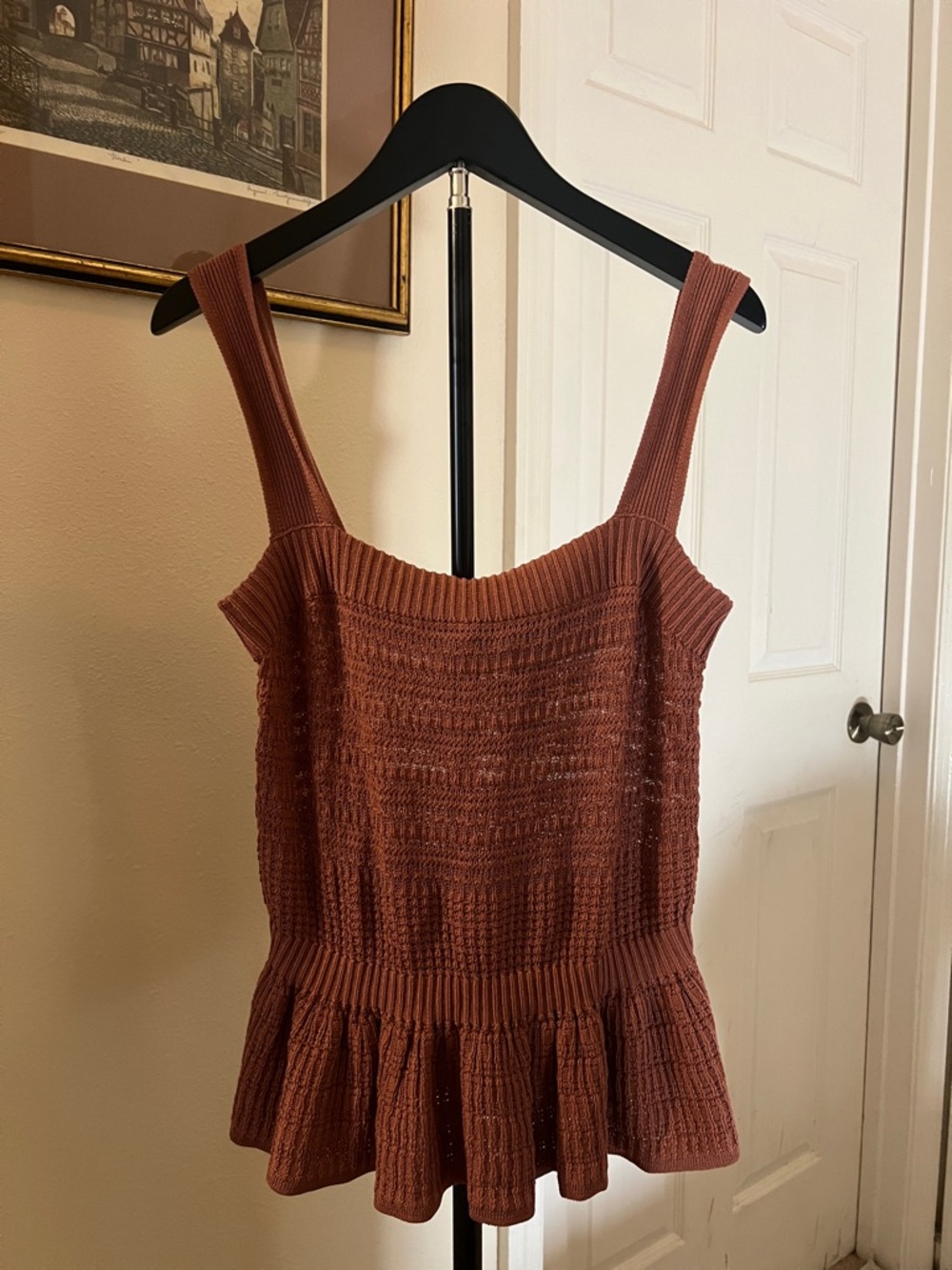 Express Rust Knit Peplum Top